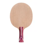 قیمت و خرید چوب راکت پینگ پنگ DHS دبل هپینس فانگ بو کربن B2X